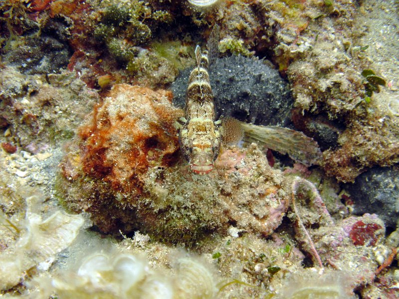 2012-09-19 11-42-41 Steven.jpg